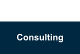 Consulting